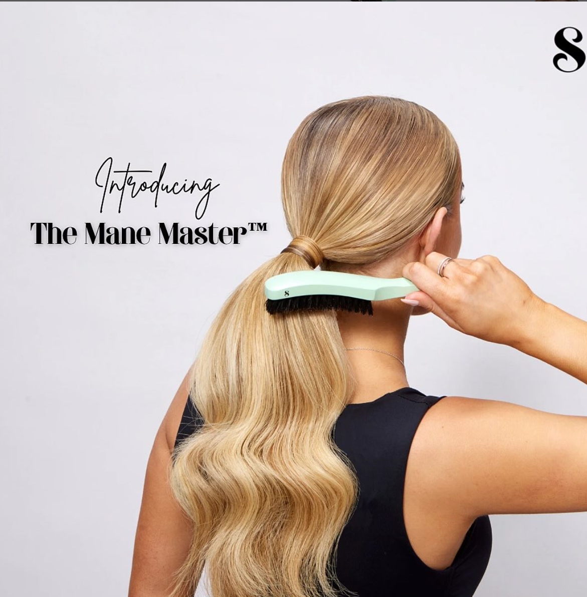 Mane Master.png__PID:ab9aa259-d2a8-4c75-a001-5e833dc7fcd5